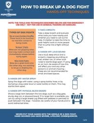 How to Break Up a Dog Fight Safely Preventive Vet